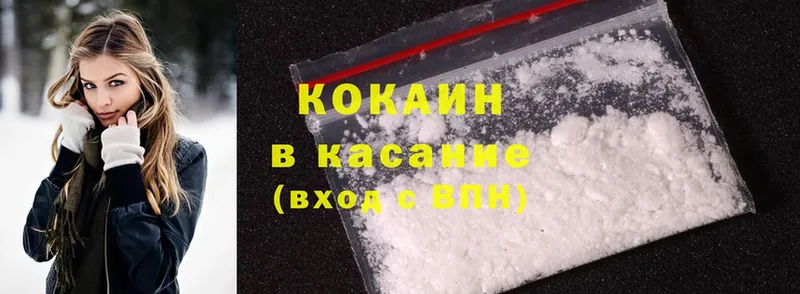 дарнет шоп  Богородицк  Cocaine FishScale 